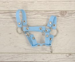 Kantar dla konia Hobby Horse uniwersalny A4 i A5 zapinany - błękitny