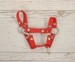 Kantar dla konia Hobby Horse uniwersalny A4 i A5 zapinany - czerwony