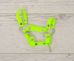Kantar dla konia Hobby Horse uniwersalny A4 i A5 zapinany - neon green
