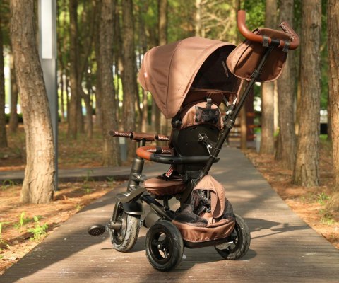 Qplay Rowerek Trójkołowy Rito Deluxe Rubber Brown